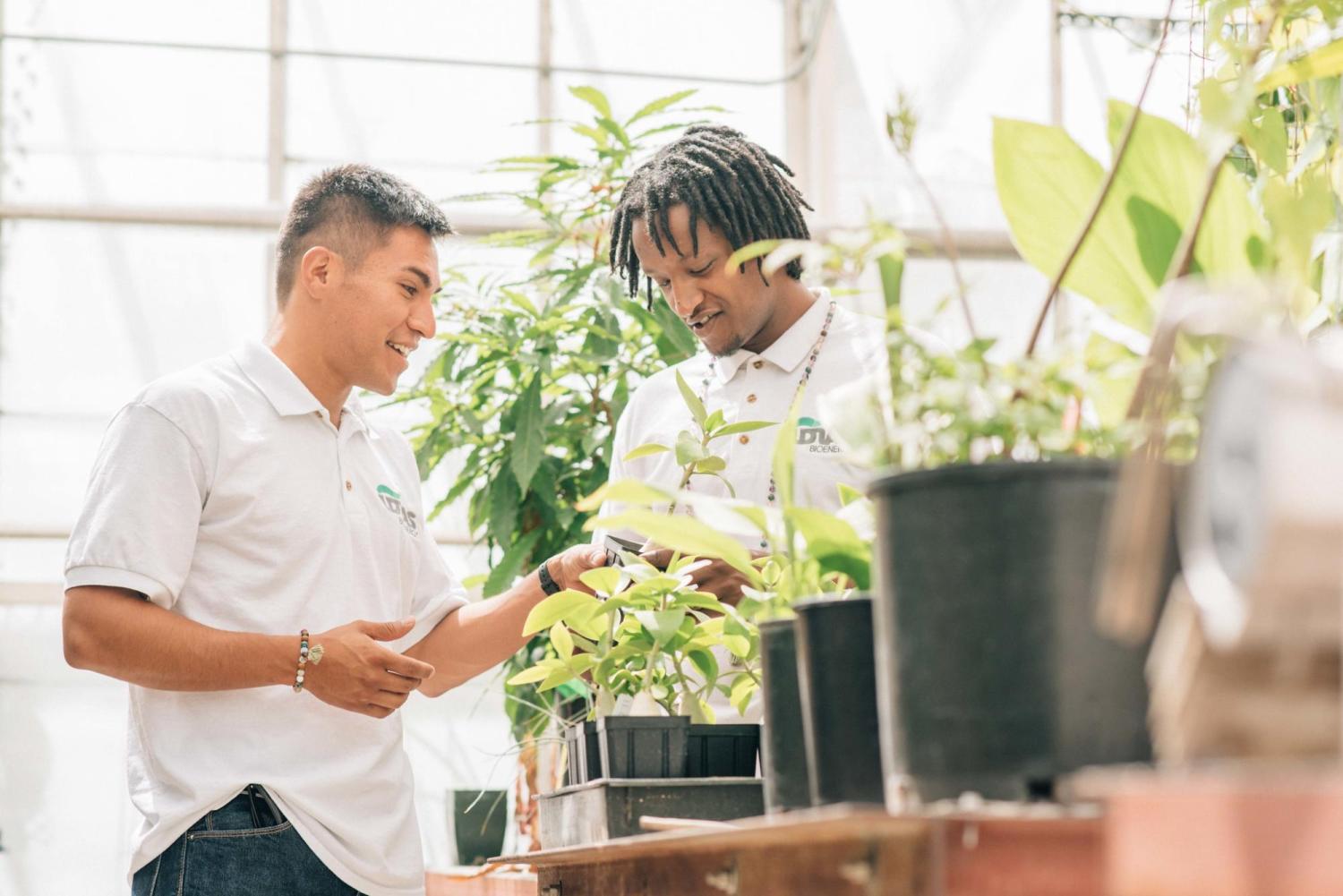 Two students plant plants in a bright greenhouse