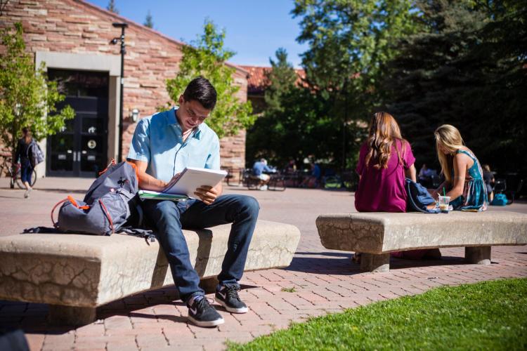student in blue shirt reading a notebook on concrete bench