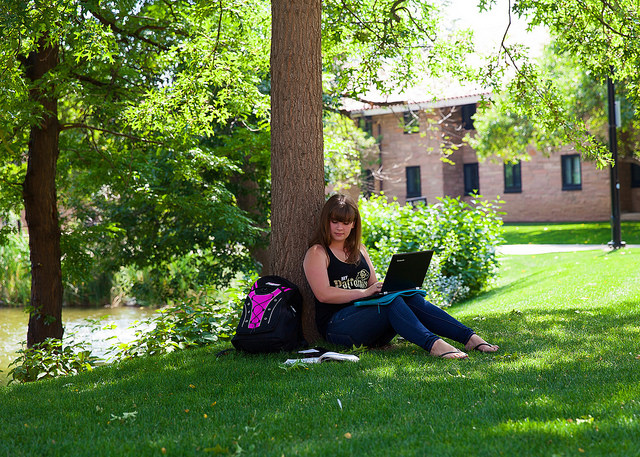 Student studies on laptop outside.